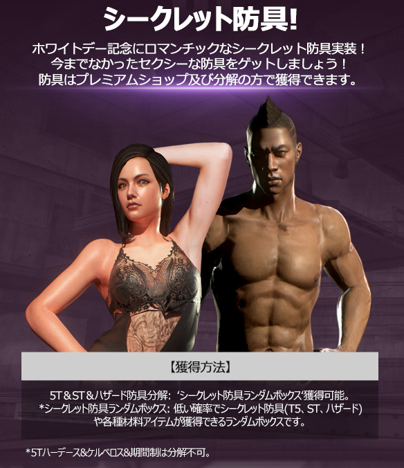 シークレット防具.png
