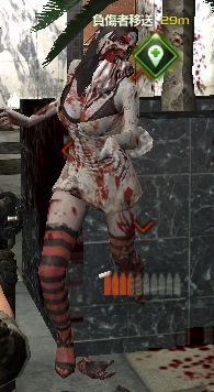 ladyz.jpg